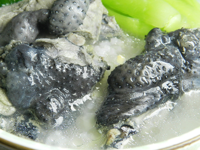 ��ħʦ���չ���������~�ڹǼ������������