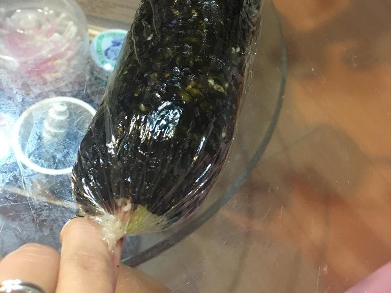 �ñ���Ĥ����˾������