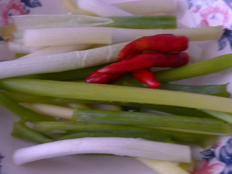 �������������