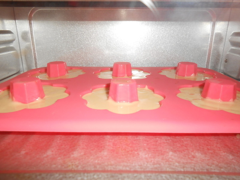 ��ѩ���ǻ�Ȧ�����������