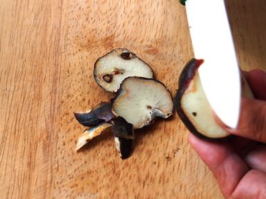 �������ཷ[��ʥ��ʳ��]������