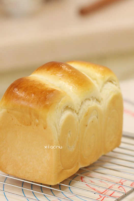 �������˾������