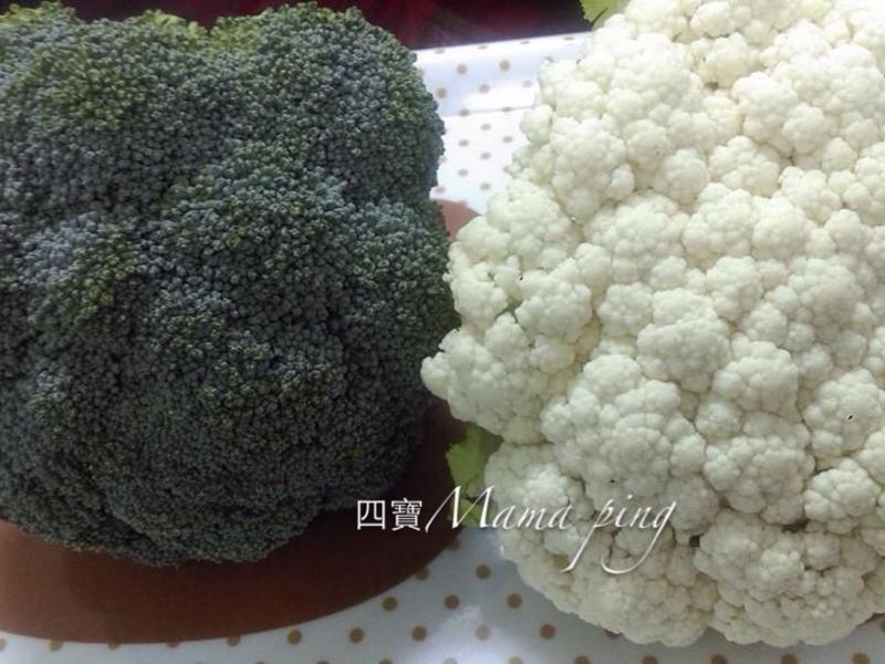 ˫ɫ��Ҭɳ��������