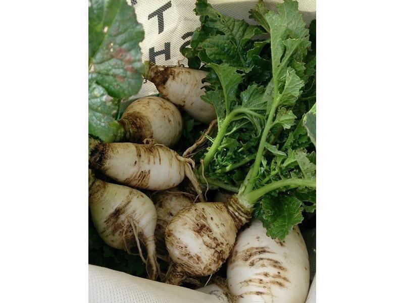 �ʹ������ܲ��������