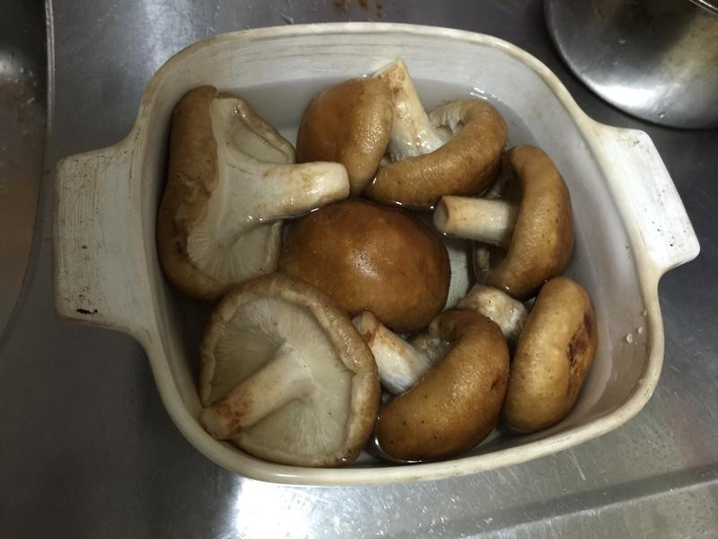 �㹽������������