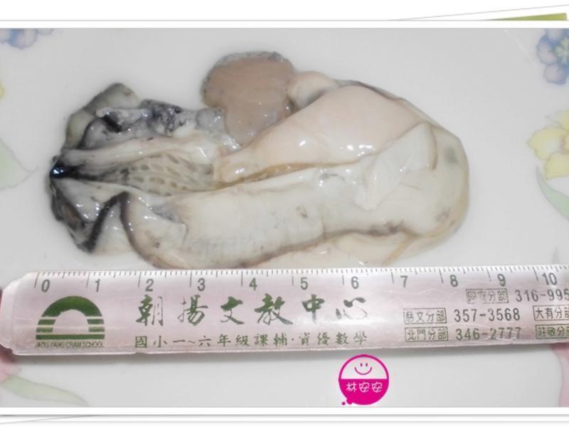 ҹ�бص�С��-���м塢Ϻ�ʼ������