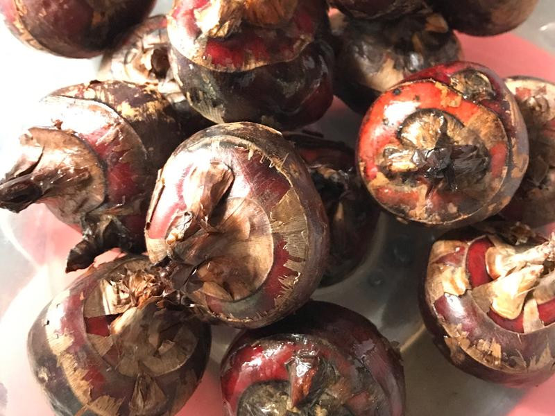 �λ�����������