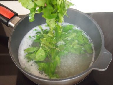 �����Ƭ��[������ˮʳ��]������