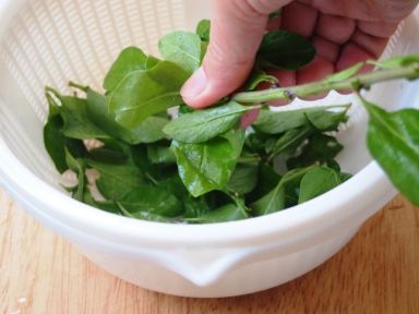 �����Ƭ��[������ˮʳ��]������