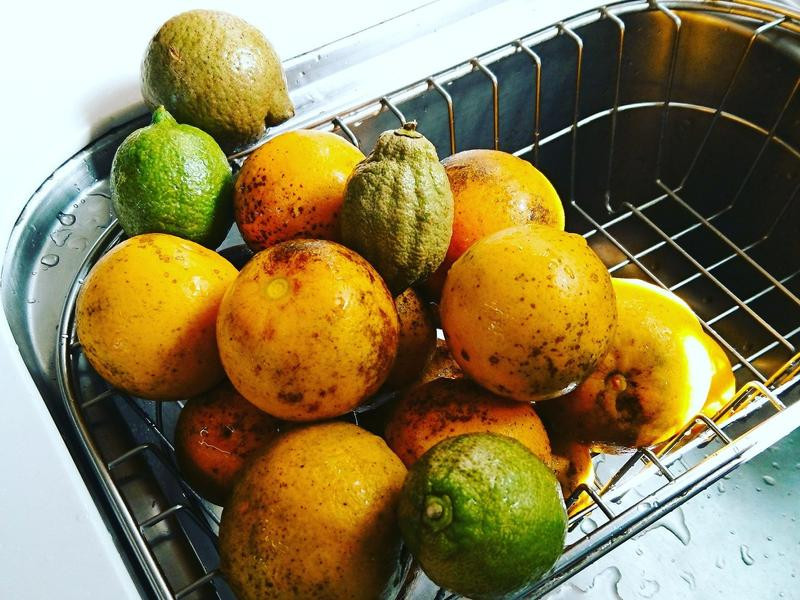 �����ɿ�����Ƭ������