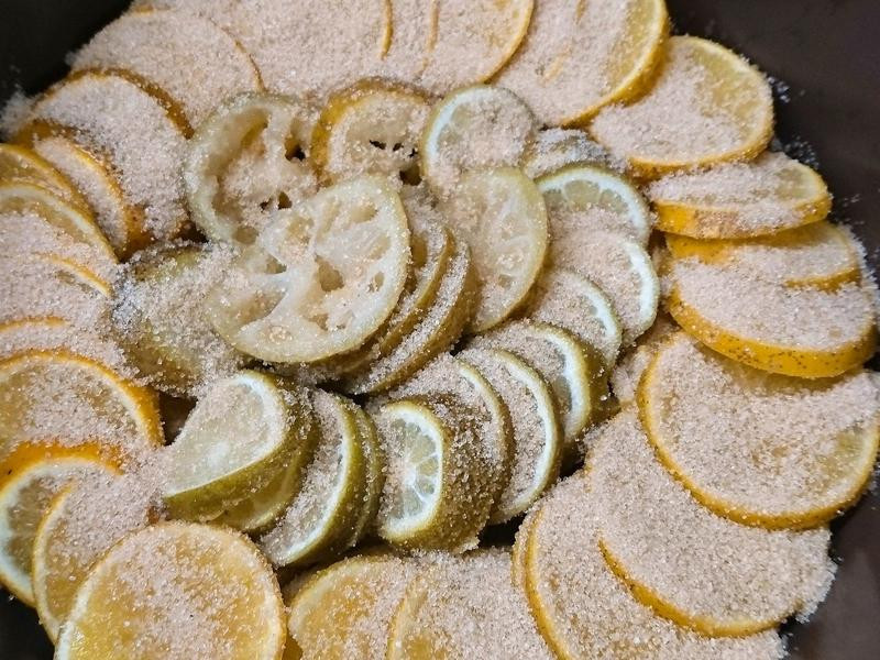 �����ɿ�����Ƭ������