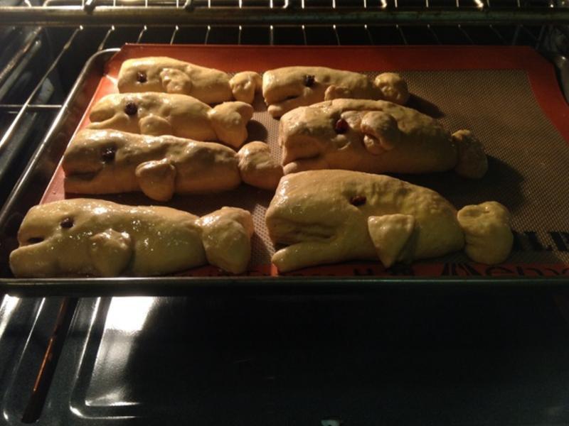 �����㿧���ۺ춹��^���?!!!������