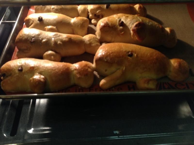 �����㿧���ۺ춹��^���?!!!������