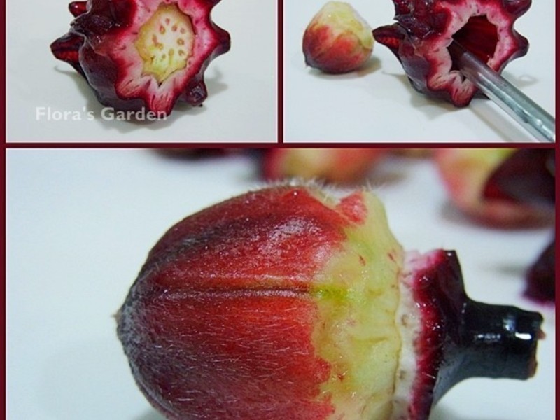 ���񻨹���&�ڴ�����˾������