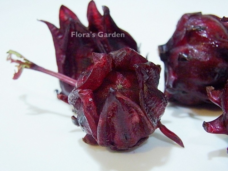 ���񻨹���&�ڴ�����˾������