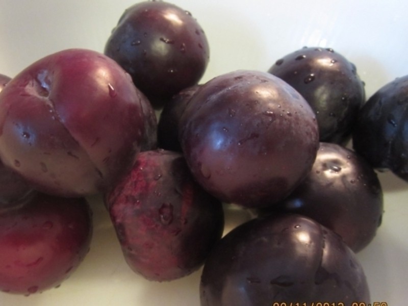 ���ƹ���4---���ӹ���������