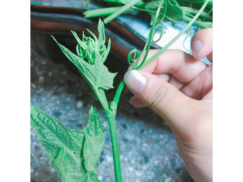 Ϻ������˵�����