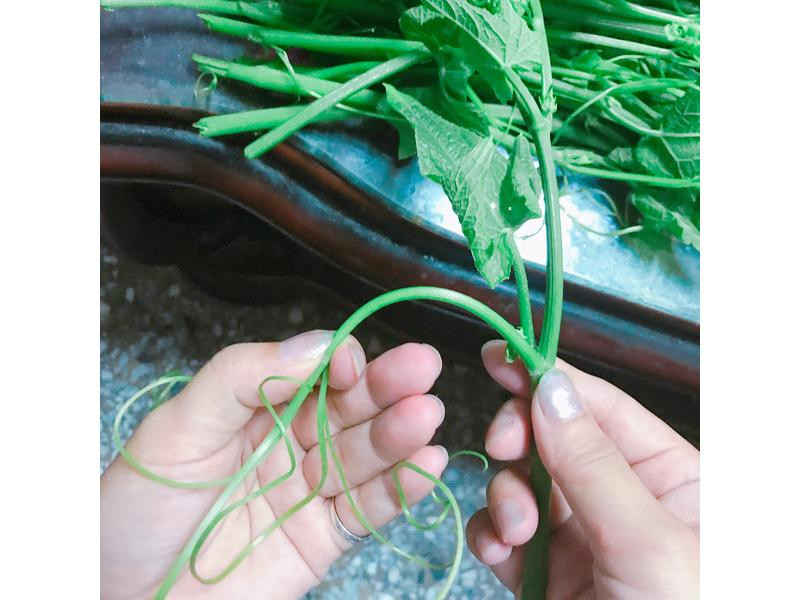 Ϻ������˵�����