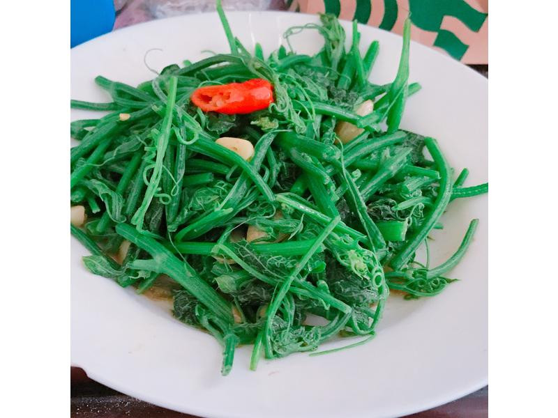 Ϻ������˵�����