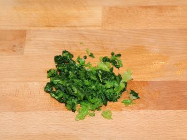 ����������ŵ�����