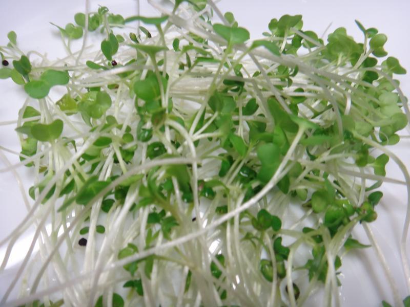 ˮ�۵������ε�����