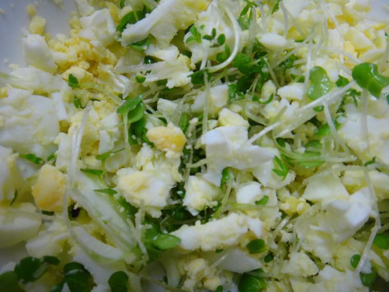 ˮ�۵������ε�����