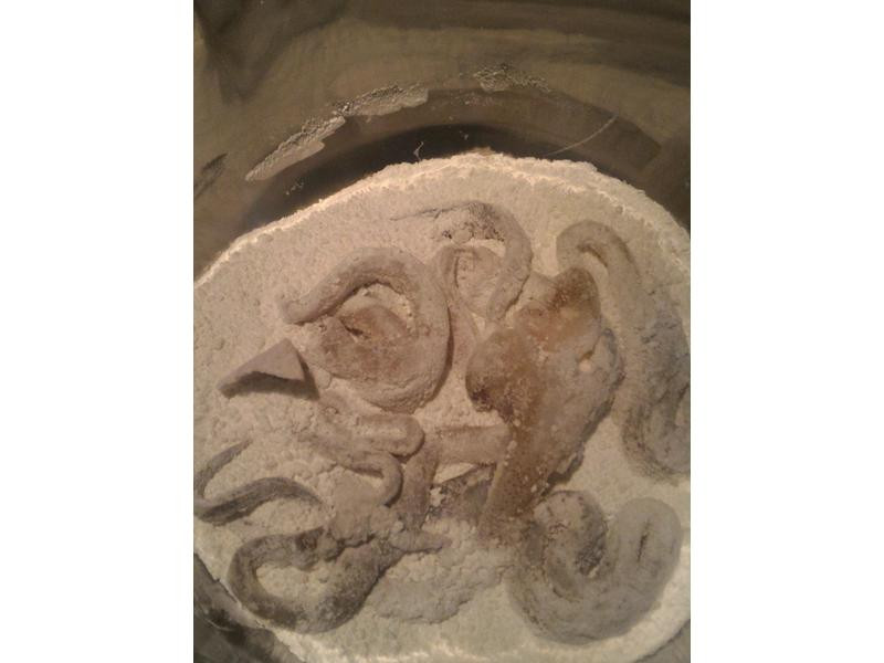 ը���������