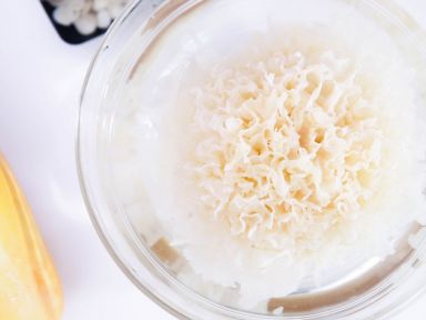 ľ��ѩ���Ź���������