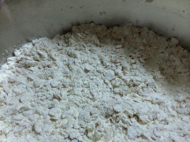 ����δ�����������