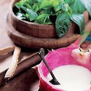 ����С���ɵ�����