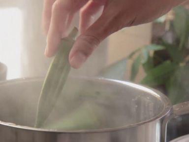 �������ľ���ٺϵ�����