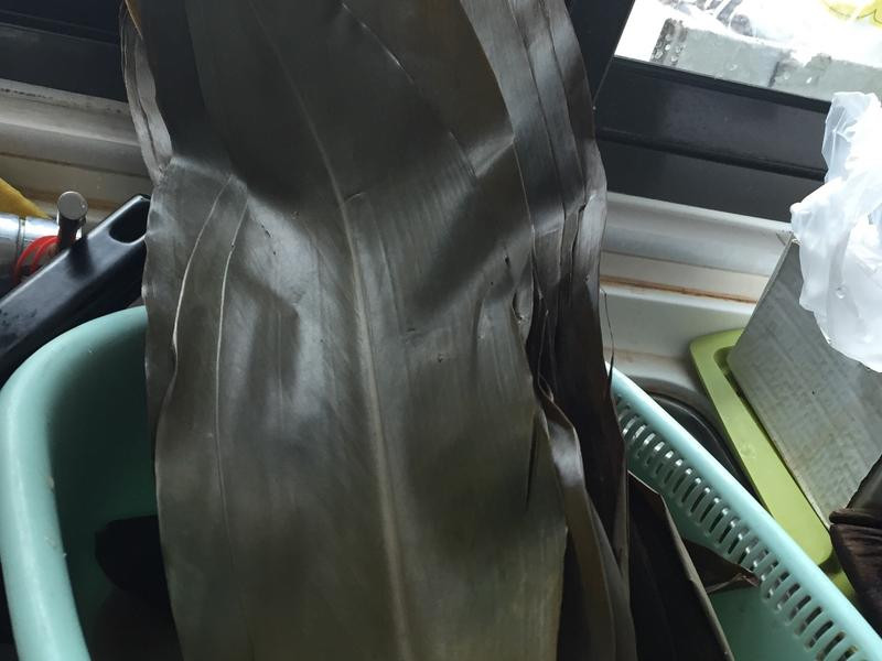 �ϲ���ͳ����Ҷ�ɱ��յ�����