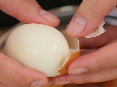 ħ�������ɻ��ȵ�����