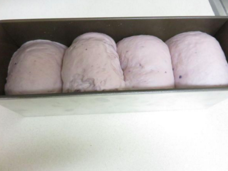 ����Q��������˾������