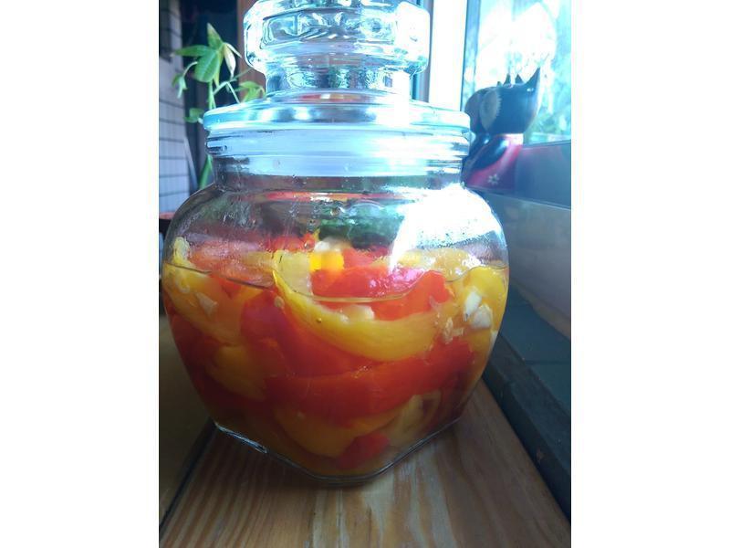 �����Z�ʽ�������͵�����