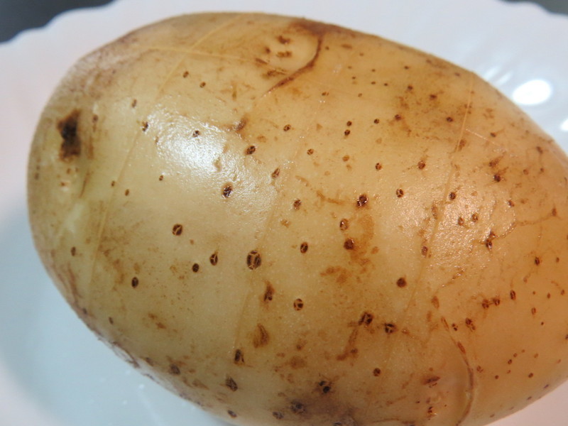 �h������������