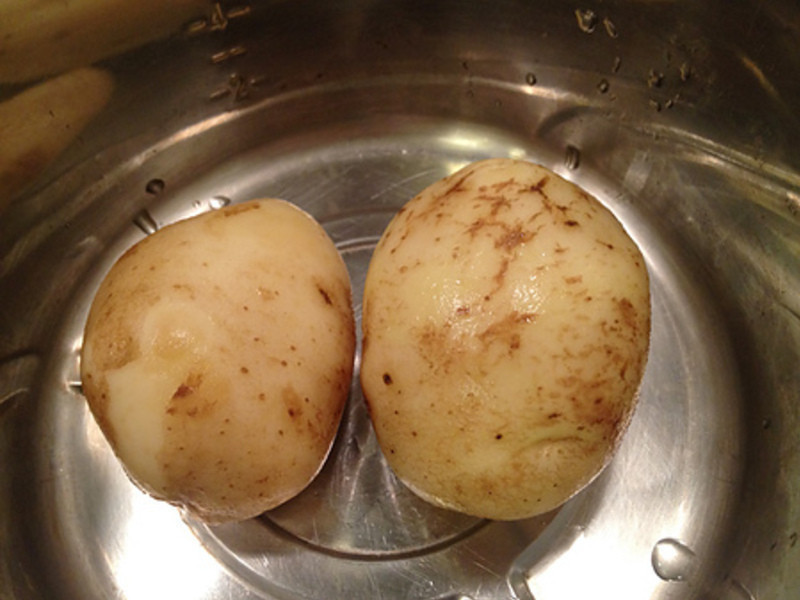 �����ֺó�-���Ϳ�������������