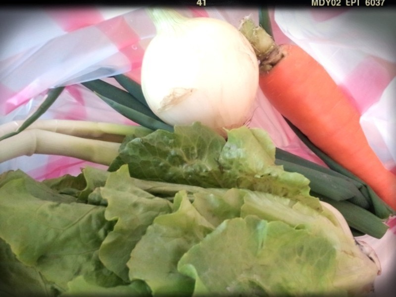 �������������