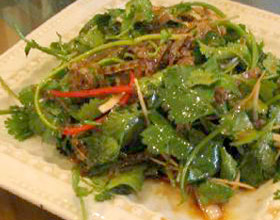 ����������Ƥ������