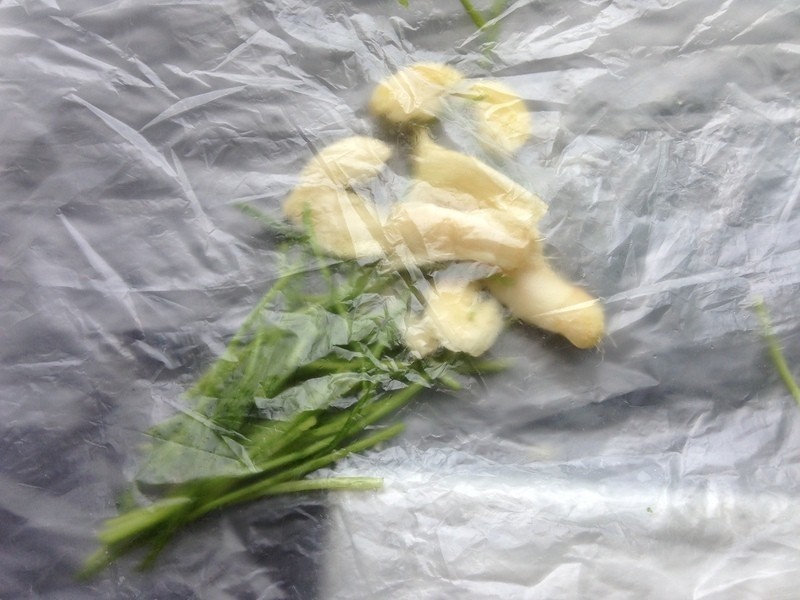 �������Ͽ���ɳ��������