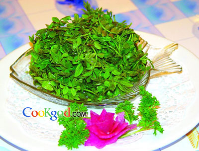 �軨��Ҷ������