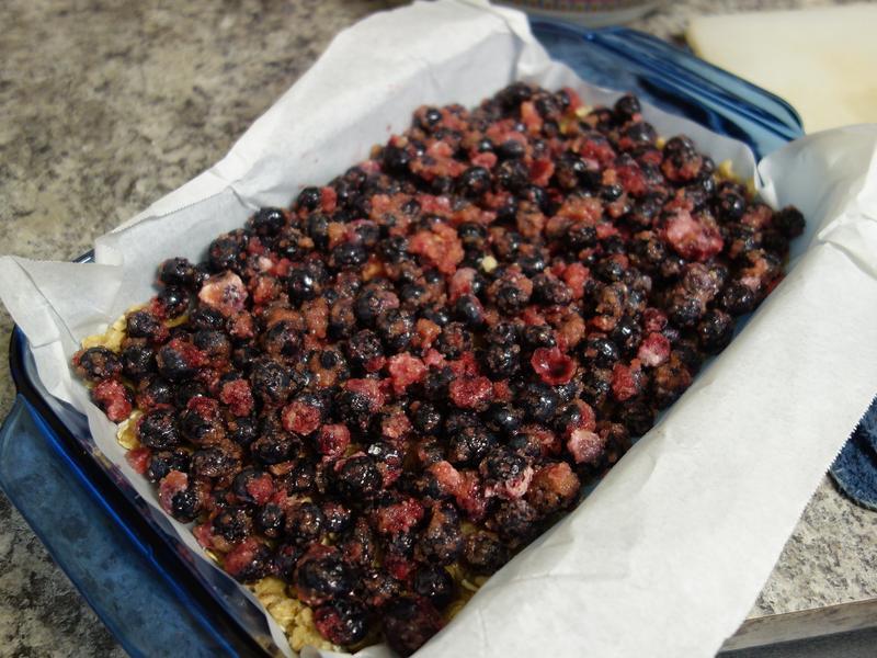 ��ݮ������������