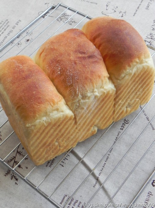 ���̸߸���˾������