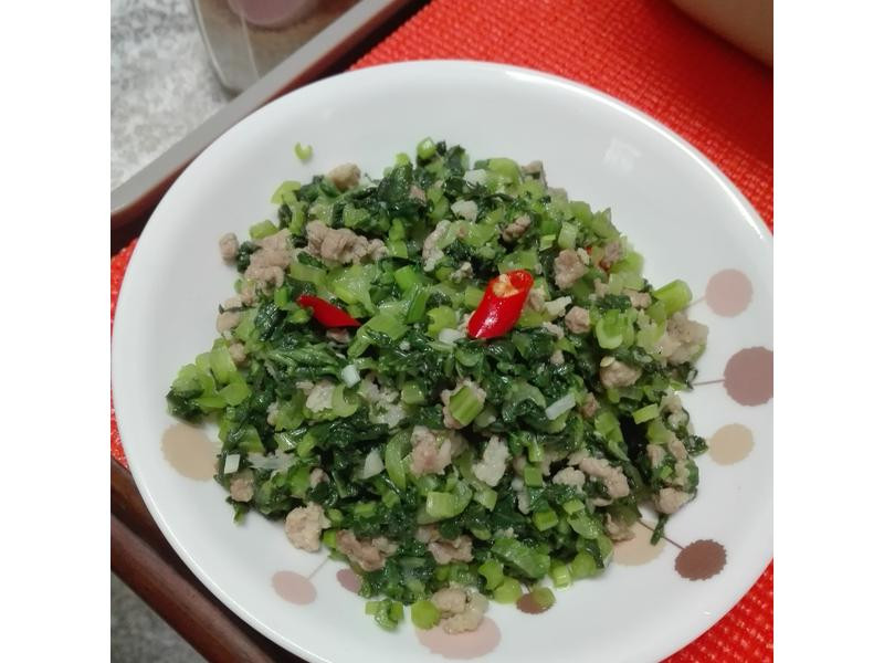 ��ĩѩ��������