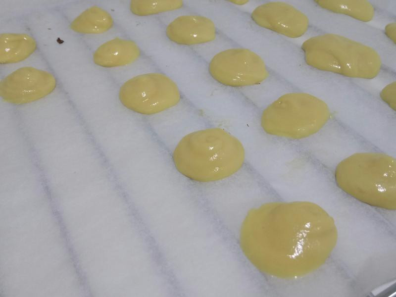 ����һ��С���ɵ�����