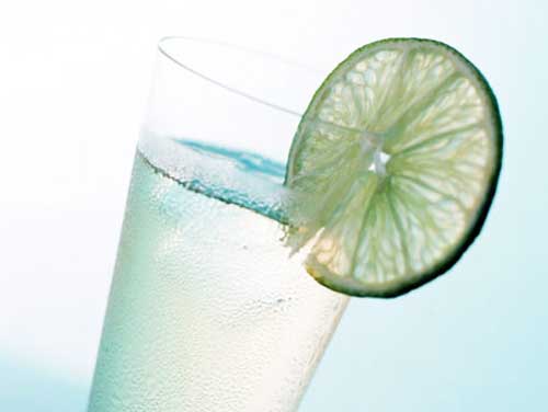 DIY��ζ����֭������