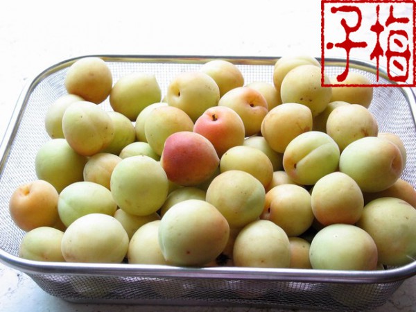 ����÷�ӾƵ�����