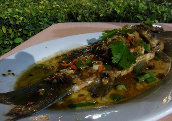 ��֭���������