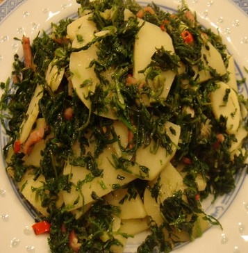 ������Ƭ������