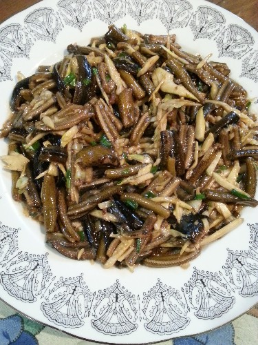 ������˿������